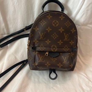 Louis Vuitton Palm Springs Mini